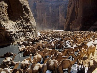 Guelta d'Archei