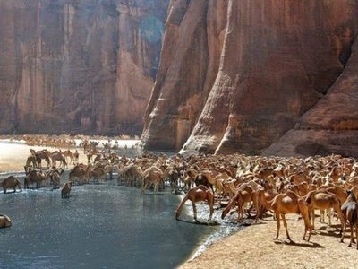 Guelta d'Archei