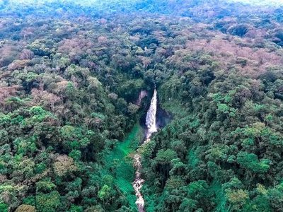 Kahuzi-Biéga National Park