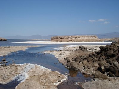 Lac Assal