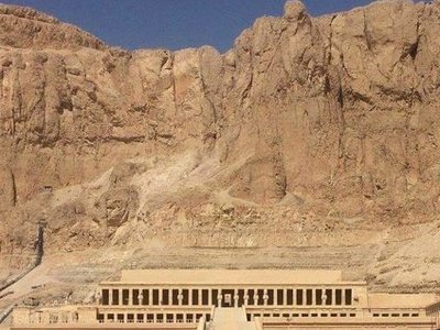 Hatshepsut's Myrrh Tree