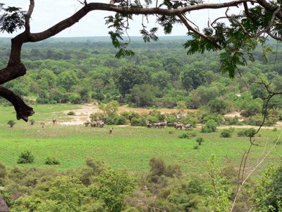 Mole National Park