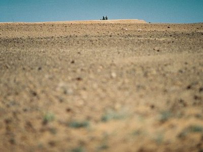 Moroccan Western Sahara Wall
