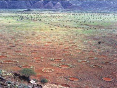 Fairy Circles of Southern Africa