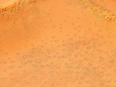Fairy Circles of Southern Africa