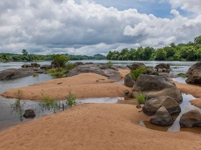 Tiwai Island