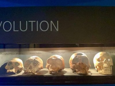Cradle of Humankind