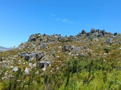Gantouw Pass Wagon Trail