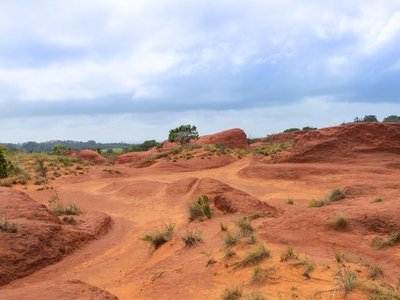 Red Desert