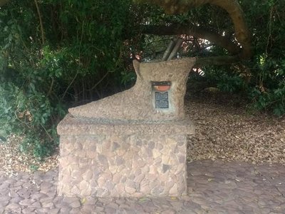 The Post Office Tree