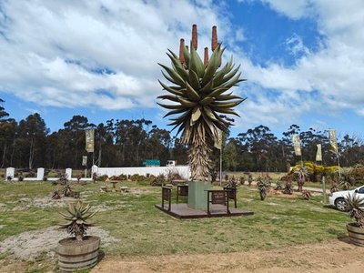 World's Largest Aloe Statue