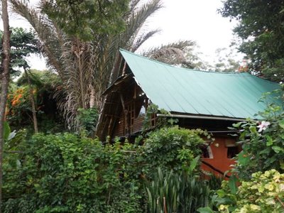 Kapishya Hot Springs