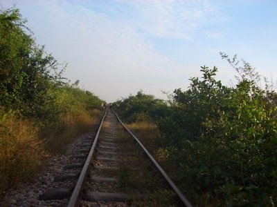 Bamboo Trains