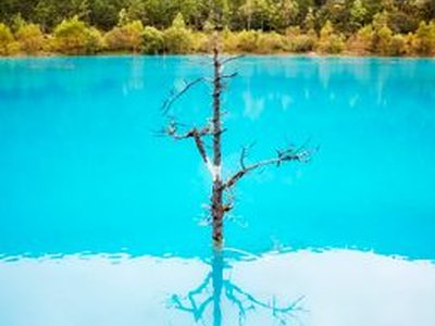 Blue Moon Valley
