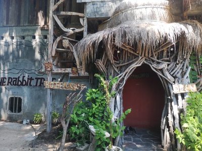 Rabbit Tree Hostel