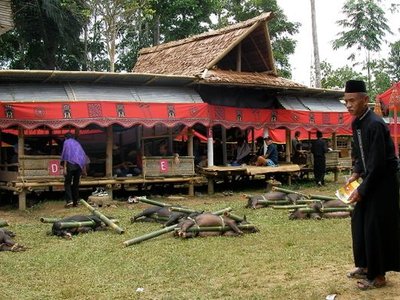 The Funeral Rites of Torajaland