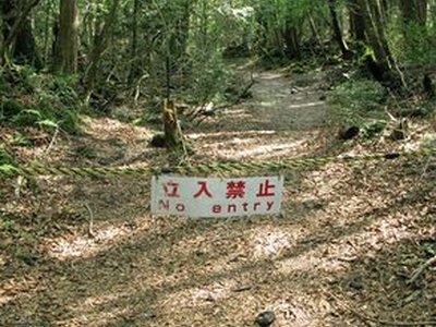 Aokigahara Forest