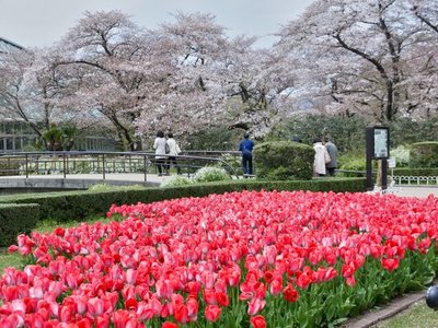 Kyoto Botanical Garden
