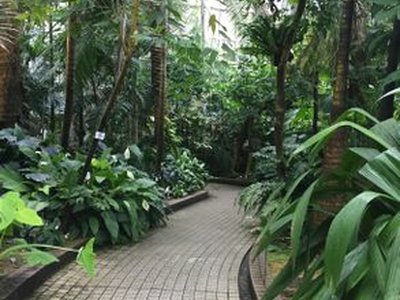 Kyoto Botanical Garden