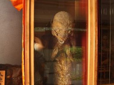 Tenshou-Kyousha Shrine Mermaid Mummy