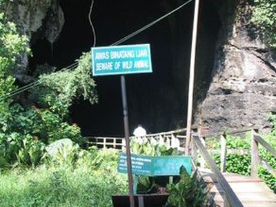 Gomantong Cave