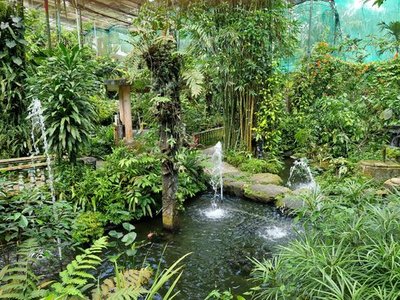 Kuala Lumpur Butterfly Park