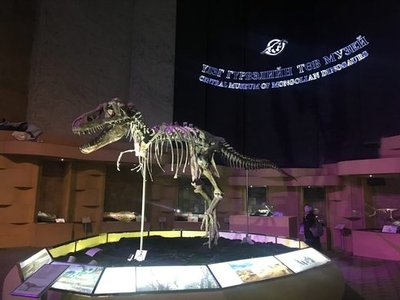 Natural History Museum of Mongolia