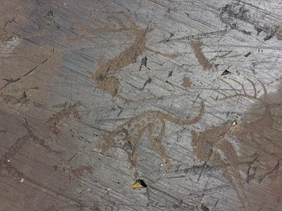Petroglyphs of Tsagaan Salaa-Baga Oigor