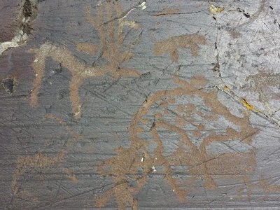 Petroglyphs of Tsagaan Salaa-Baga Oigor