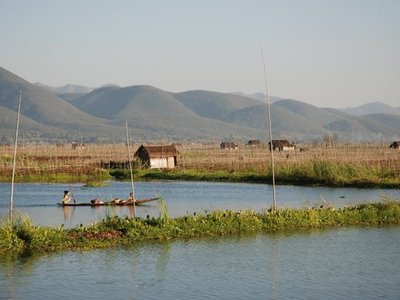 Floating Gardens of Inle Lake