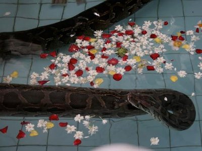 Snake Pagoda of Myanmar