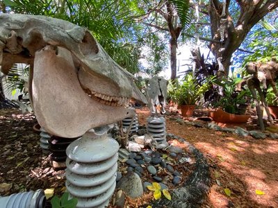 Bonaire Botanical Garden