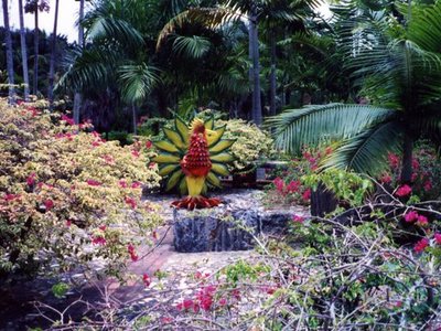 Dr. Rafael M. Moscoso National Botanical Garden