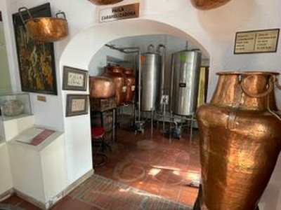 Museo del Ron y la Caña (Museum of Rum and Sugar Cane)