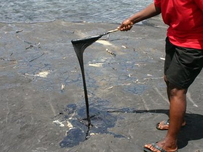 Pitch Lake