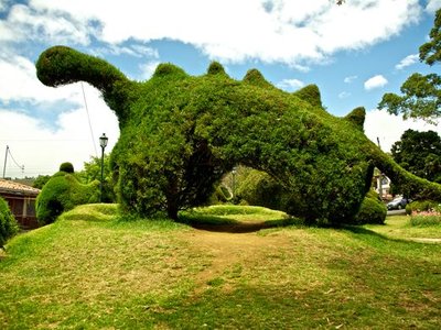 Parque Francisco Alvarado