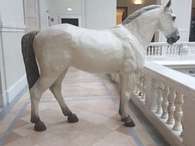 Hofjagd und Rüstkammer