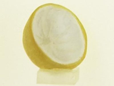 Museum of Contraception and Abortion