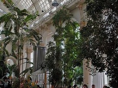 Palmenhaus