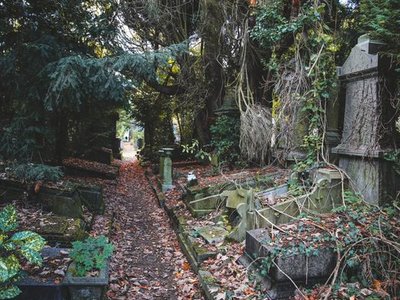 Cemetery Dieweg