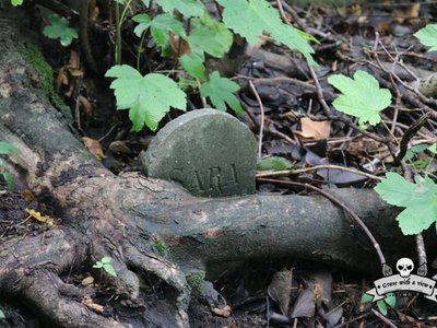 Cemetery Dieweg