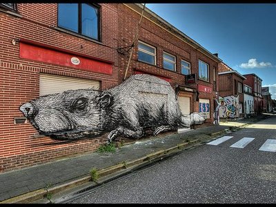 The Doomed City of Doel