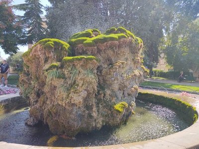 Fontana s Kornjačama (Fountain with Turtles)