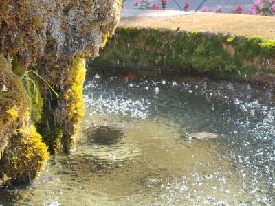 Fontana s Kornjačama (Fountain with Turtles)
