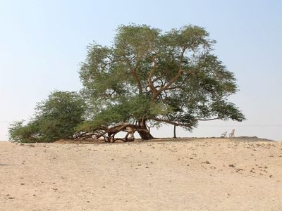Shajarat-al-Hayat (Tree of Life)