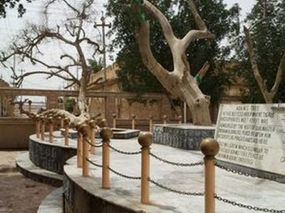 The Tree of Knowledge