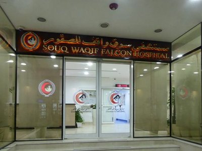 Souq Waqif Falcon Hospital