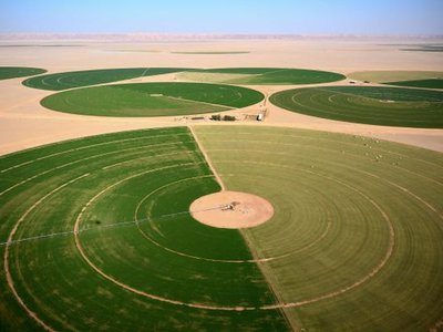 Wadi al-Dawasir
