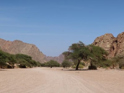 Wadi-e Jinn