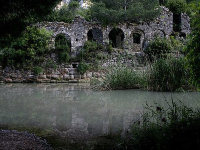 Olympos Coastal National Park (Çıralı)